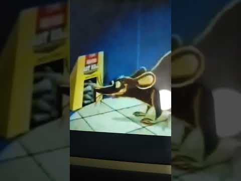 Louie The fly and the Rat and Chile. Mortein