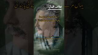 Allama Iqbal Poetry || Soft Sound + Deep Lines || Urdu Poetry #iqbalpoetry_111 @iqbalpoetry_111 screenshot 2