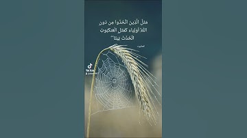 تلاوة عذبة للشيخ عبدالله بصفر #quran