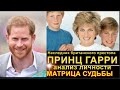 ПРИНЦ ГАРРИ Наследник британского престола Матрица Судьбы Анализ личности