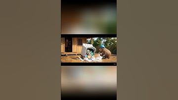 Capy cùng anh giúp bà giặt đồ và cái kết #capybara