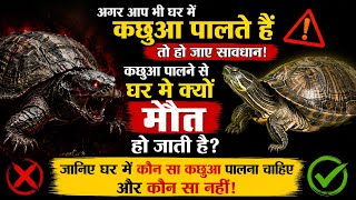 घर में कछुआ 🐢 पालने से मौत घर में क्यों आ जाती है😱tortoise Ring कछुआ पालने वाले जरुर देखे ये विडियो 