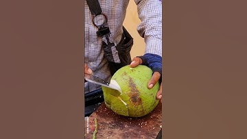 Easy Way To Peeling Young Coconut. Amazing Coconut Cutting Skills. #shorts #cuttingskills #coconut