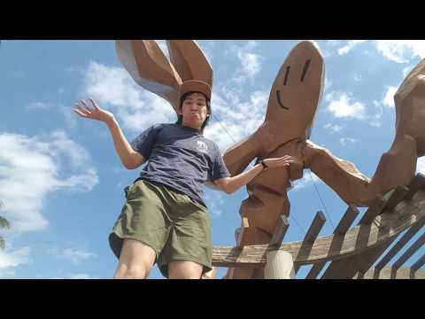Spring Breaks