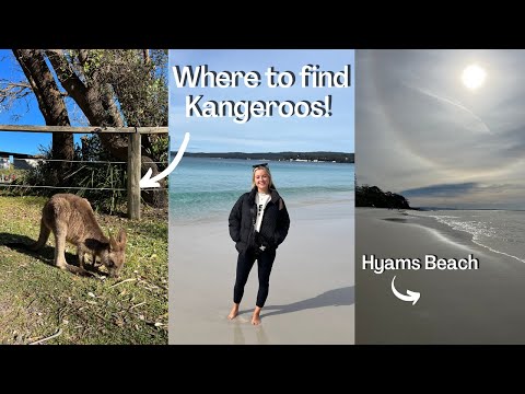 Top things to see in Jervis Bay & hidden gems | Vlog!