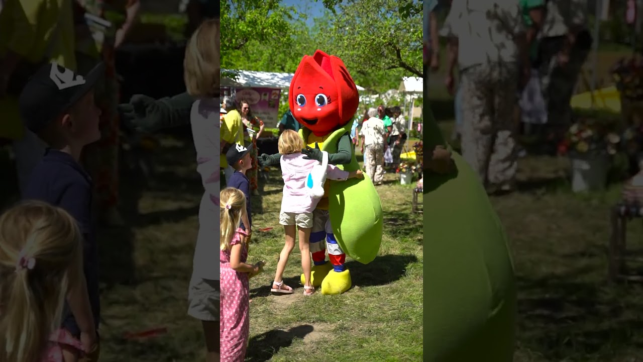 Lentefair 2025 | DijkstraMedia | Social content