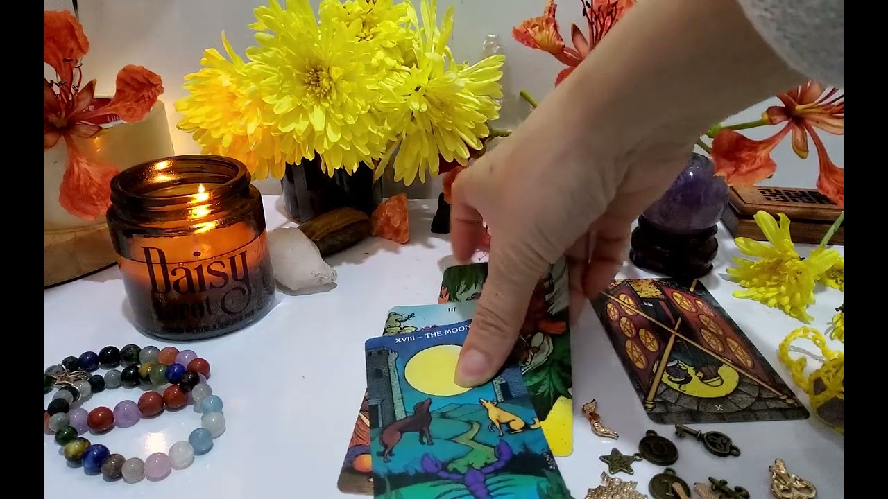 Nếu bạn rút lui khỏi mối quan hệ họ nghĩ sao #tarot #daisytarot222 #vutru