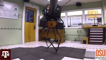 Dynamic Multi-Domain Bipedal Walking with ATRIAS