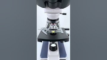 An orange at 400X magnification is so cool!