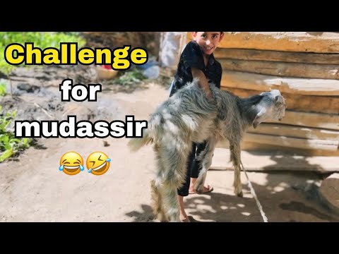 Challenge for mudassir🤣😆😆🤣| don’t miss end 🤌🌸 - YouTube