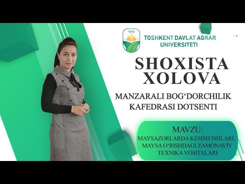 Video: MTD mahsulotlari: maysazorlar. Sharhlar, texnik xususiyatlar, o'z-o'zidan ta'mirlash