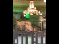 Guess What is This? #Makkah #umrah