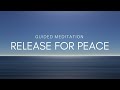 Release for peace master peace box guided meditation