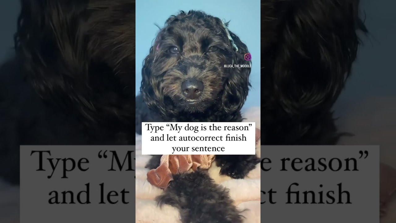 Let Autocorrect Finish Your Sentence! What did you get? 