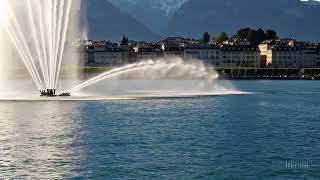 Majestic Jet Deau Icon Of Lake Geneva
