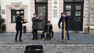 Lviv street musicians  -  Львівські вуличні музиканти