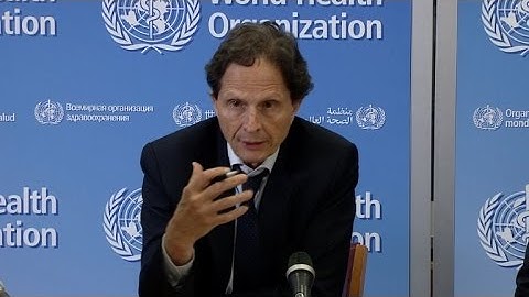 WHO committee says low risk of Zika spread from Olympics