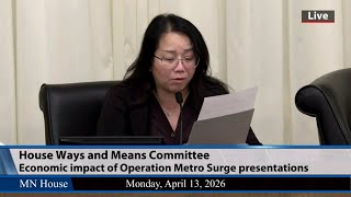 House Committee hearing: Economic impact of ICE operations in Minnesota