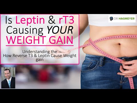 Hormones That Cause Weight Gain- Leptin & rT3 (Hypothyroidism)