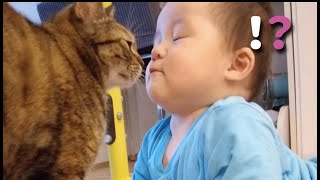 baby: kitty, you'll be my friend someday!