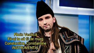 Florin Vasilică - Fir-ai tu să fii de murg - Constantine, Constantine - Instrumental Version by GTR
