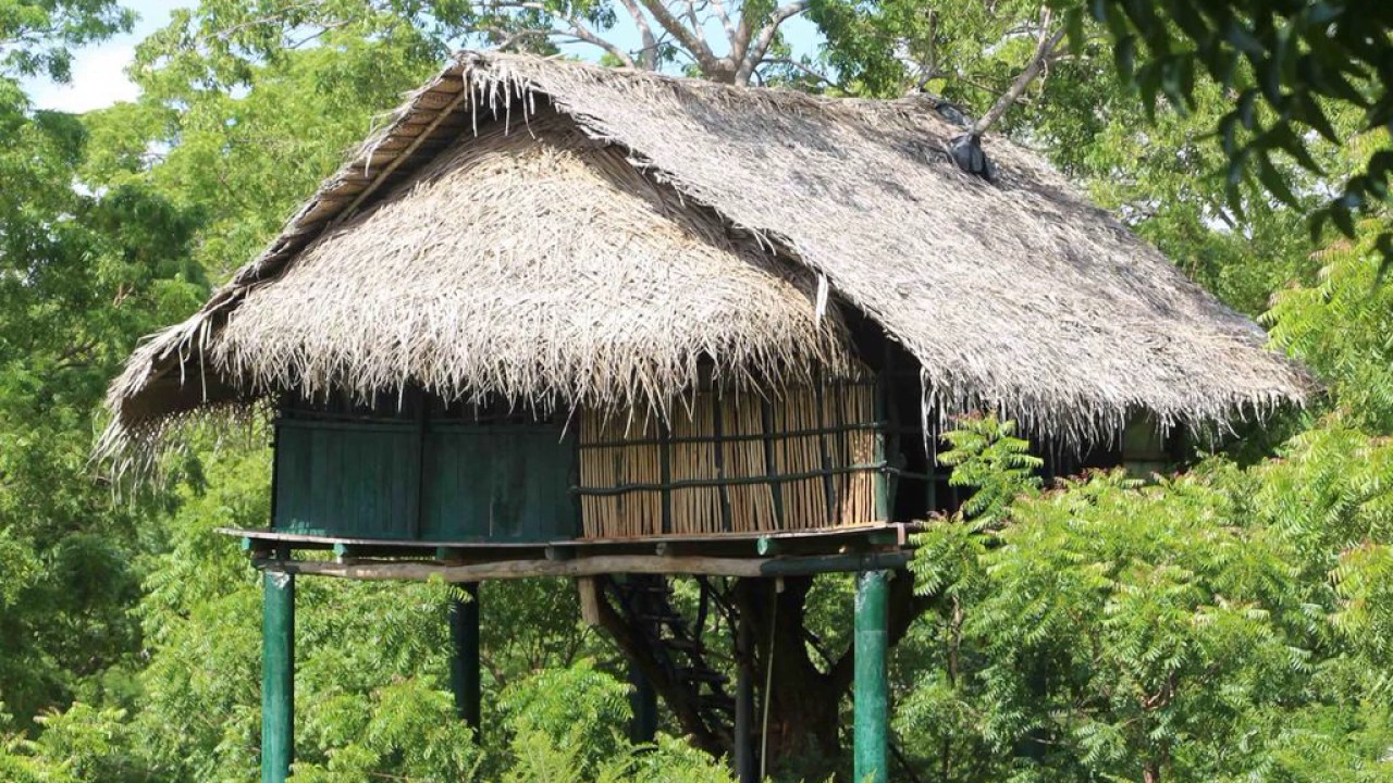 Beddegama Ecopark Yala Yala Sri Lanka - 