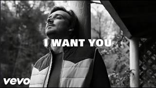 Post Malone & Morgan Wallen - I Want You (Official Music)