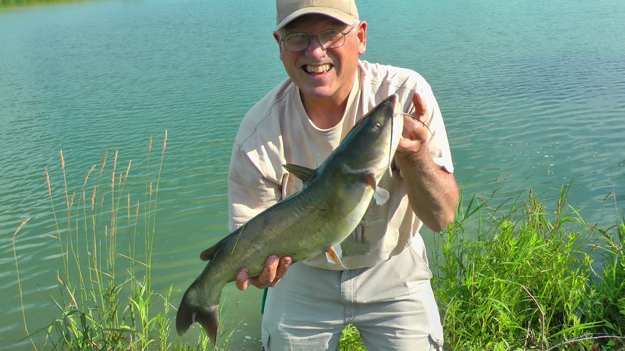 Channel catfish on GoPro using stinkbait smells like poop and is gross