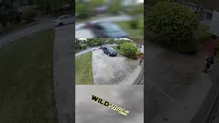 Shocking Hit & Run Caught on Camera! 😱 | You Won't Believe This!  #automobile #crash #omg #wow #wild