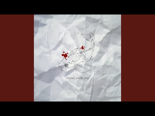Crying Over You