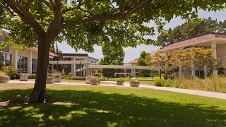Admissions Transcripts for Pacifica Graduate Institute
