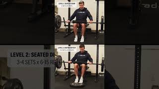 Achilles Tendinopathy Exercises (Mid Stage) #shorts
