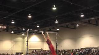 Grant Breckenridge – High Bar – 2016 Winter Cup Finals