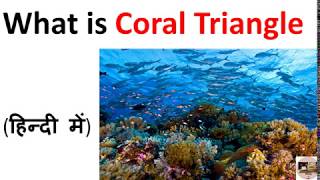 Coral triangle and Coral Triangle Initiative on Coral Reefs, Fisheries and Food Security (CTI-CFF).