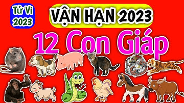 Vận Hạn của 12 Con Giáp trong năm 2023 chi tiết - Vận Hạn 2023
