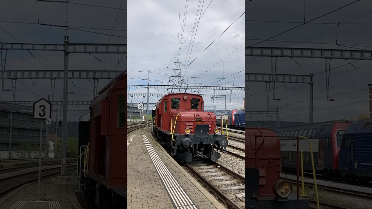 Seetal crocodile - Brugg AG