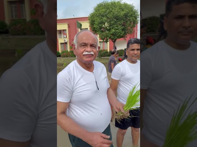 #RAC टीम द्वारा #ICARRCER PATNA में धान रोपनी #ICAR #AGRICULTURE #RESEARCH #patna