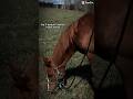 And I will #quarab #horse #equestrianjourney #horseenthusiast #capcut #chestnutmare