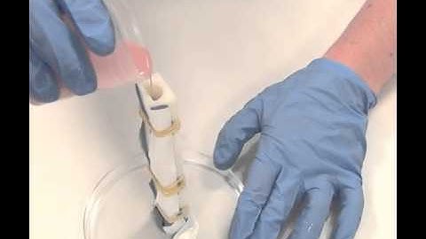 Pour Elastosil Into Mold