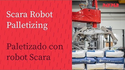 Scara Robot Palletizing - PAYPER