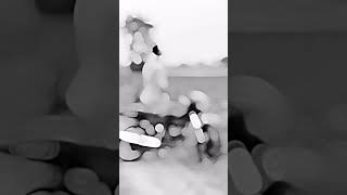 Dhdhdhdhdhjrjdjdjfbfbbf