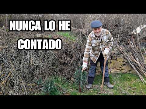 ¿POR QUÉ ME CAÍ EN LA HUERTA? y 2 métodos anti topos