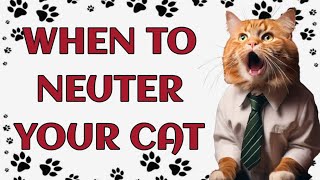 🐾 When to Neuter Your Cat by Paws and Purrs 2 views 4 days ago 3 minutes, 47 seconds