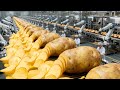 Inside a Potato Chip Factory In Future: From Whole Potatoes to Perfectly Crispy Snacks(Full Process)