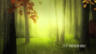 Good Morning Forest Loop screenshot 2