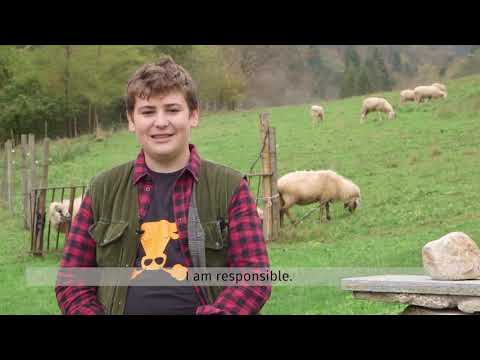 Video: Quanto tempo ci vuole per essere un pastore?