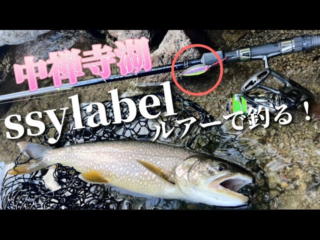 シーレーベル レイクトラウトルアーBOXおまけ有り アドロワグラマー