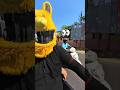 Crazy Ind Bunny🔥Reaction on Z900 👀🏍️#zx10rvsninja1000​​ #z900​​ #viral​​ #cute #girl #reaction