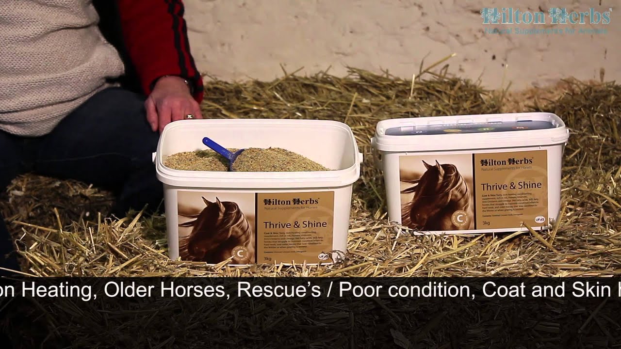 Thrive and Shine Herbal Coat and Skin Supplement for Horses Product