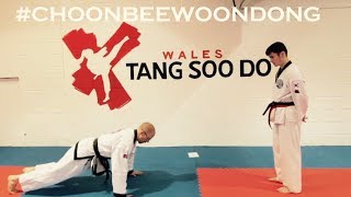 Wales Tang Soo Do Wtsda Choon Bee Woon Dong Push Up Challenge